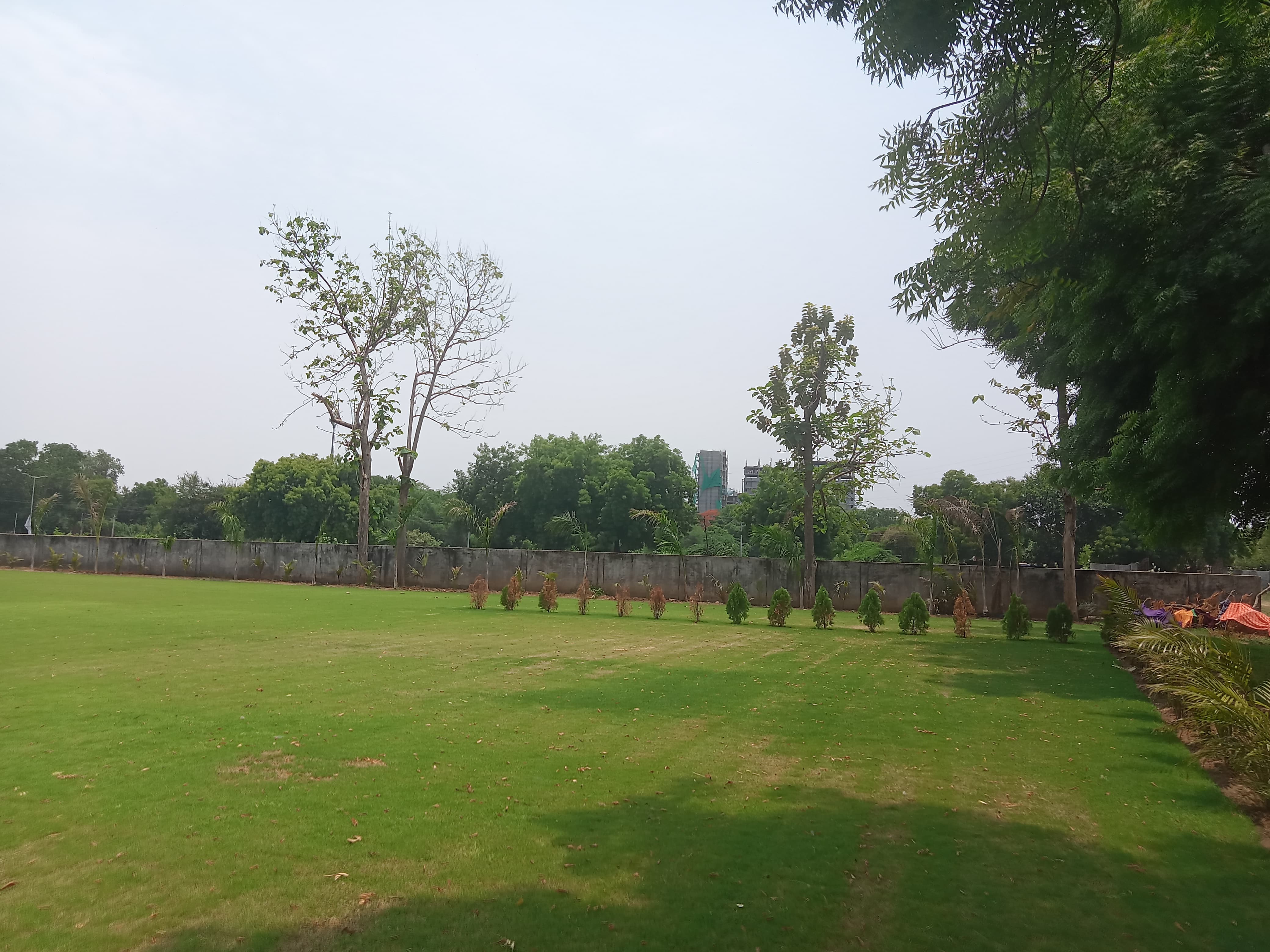 AARUSH LAWN